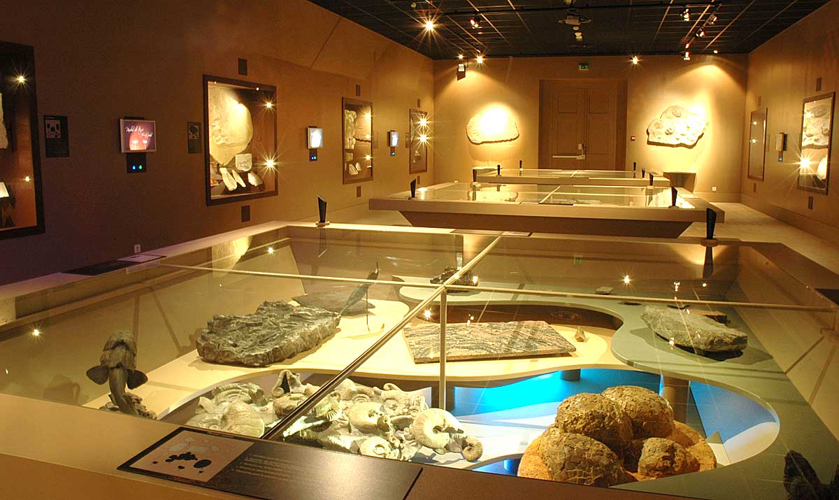 Museum d'histoire naturelle de Grenoble
