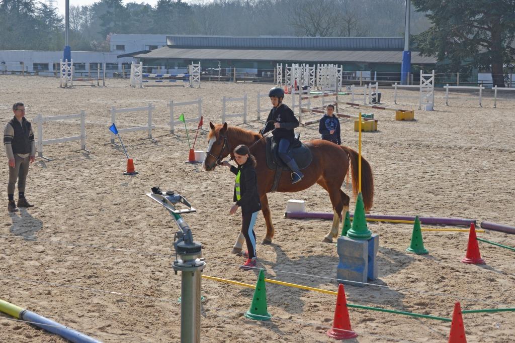 Rencontres cheval et différences activités adaptées en Poitou-Charente