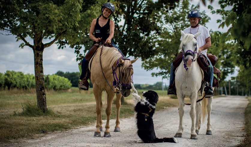 Aurélie amputée effectue un tour de France à cheval