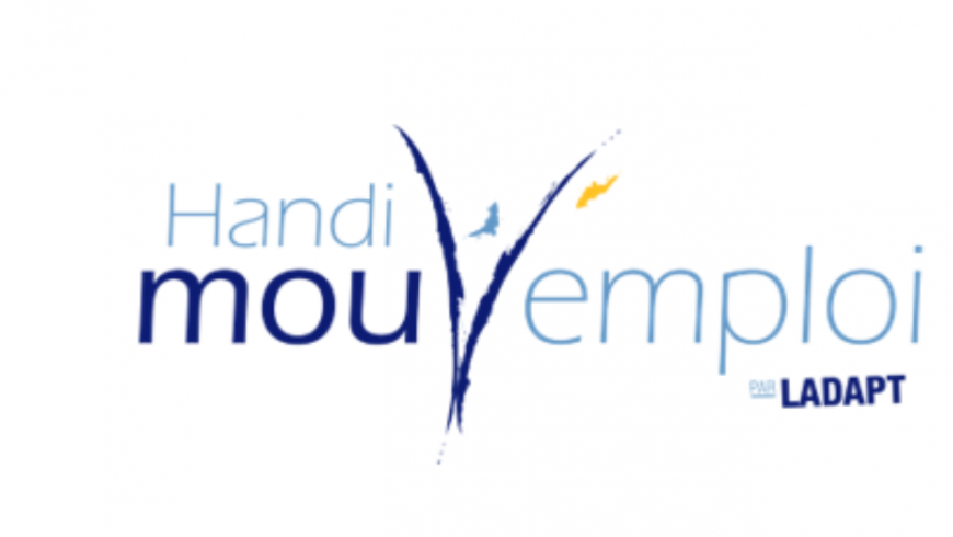Handi Mouv 'emploi Lyon : Près de 500 offres collectées