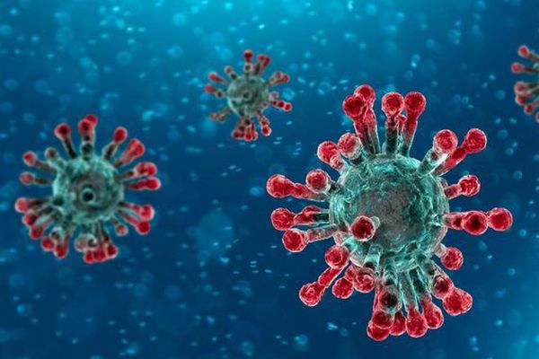 Coronavirus : mesures relatives aux personnes en situation de handicap