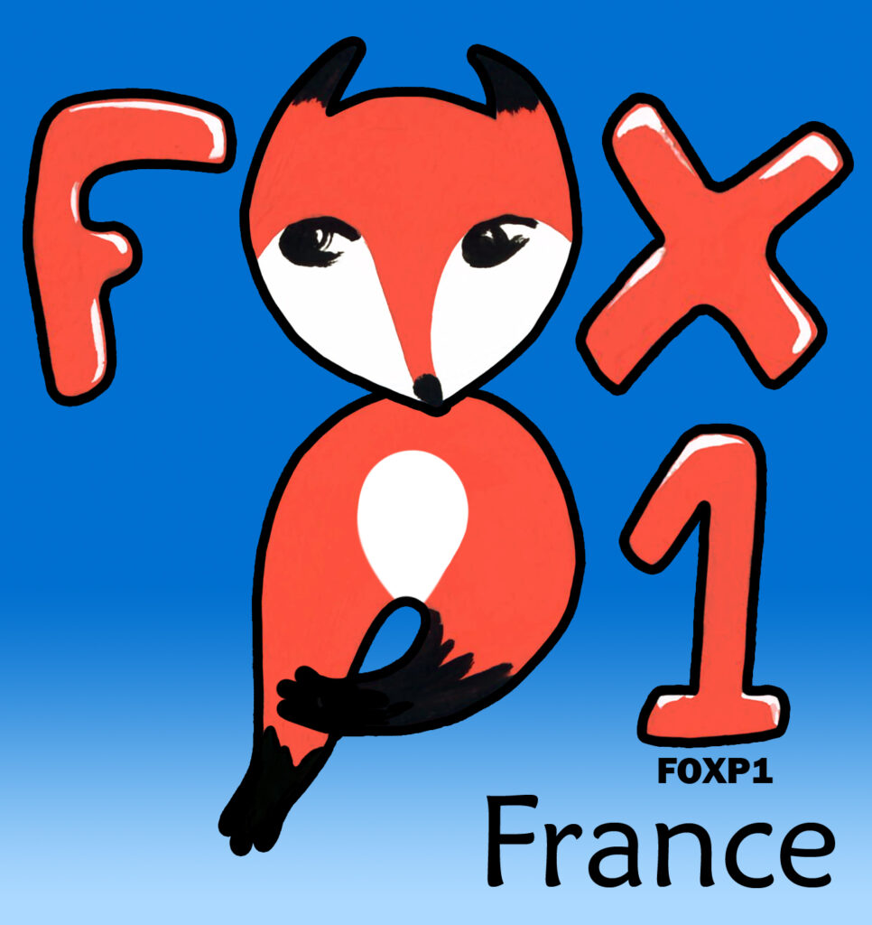 association FOXP1 en France