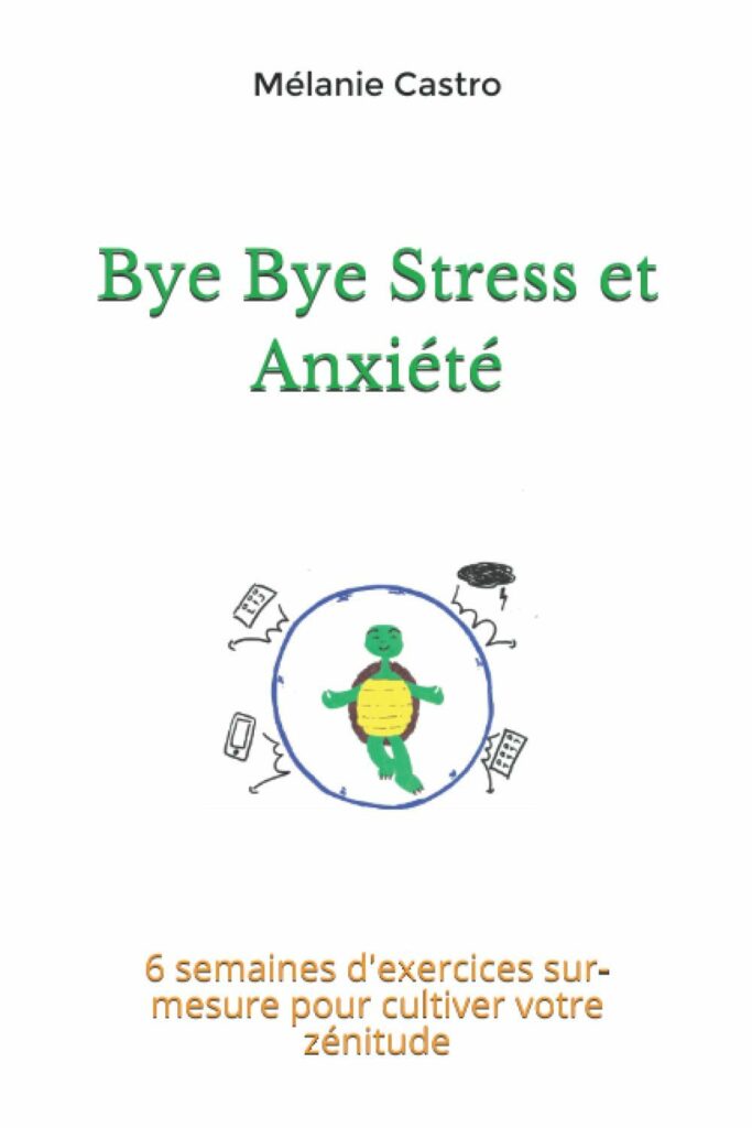 Stress et anxiété : Un ouvrage d'exercices pratiques pour bien les gérer