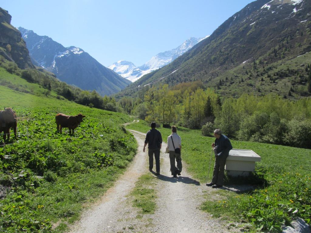 Promenades confort Savoie : Un regard différent sur la randonnée
